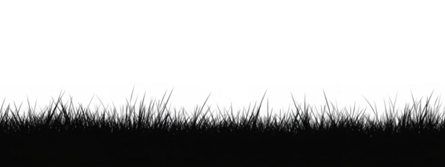 silhouette of black Seamless grass on transparent white background 
