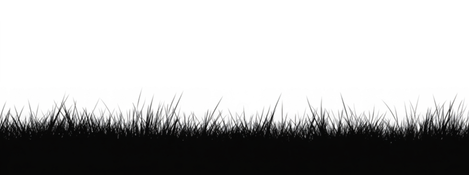 silhouette of black Seamless grass on transparent white background 
