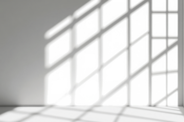 Realistic shadow from window on transparent background. Blurred shadow effect overlay. Shadow light effects. Isolated shadow for advertisements, cards, product presentation, backdrop, Design elements