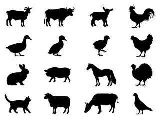 Set of Farm Animal Silhouette in various poses isolated on white background