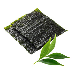 dried seaweed sheets with fresh green leaves isolated transparent background png