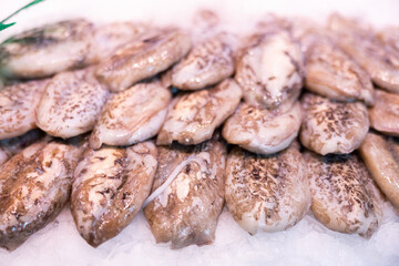 Raw cuttlefish - fish, freshly caught from the sea, lies on ice on counter at a fish market