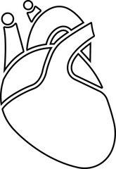 Human Organs Hand Drawn Line Icon Organs Vector for apps, web sign symbol of heart, liver, neuron pictogram for human anatomy