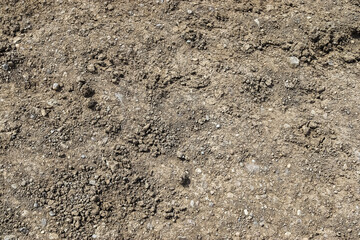 Dry cracked soil surface creating interesting texture in Iceland