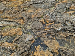 Rough volcanic rock surface in Iceland showing vibrant orange and grey hues