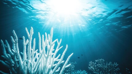 Naklejka premium Stunning underwater shot of bleached coral, sunlight streams through the ocean water, creating a dramatic scene of vibrant blue hues and delicate white coral structures.