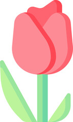 tulip Illustration on a white background.