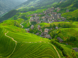 Longji Rice Terraces in China Sunrise view from the drone