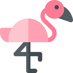 flamingo Illustration on a white background.