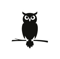 owl sitting on branch