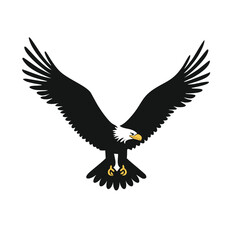Obraz premium american bald eagle