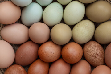 Farm Fresh Eggs