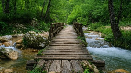 Obraz premium Rustic wooden footbridge spanning a clear stream in a lush green forest.