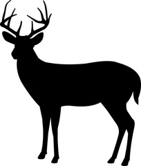 Deer buck standing silhouette vector isolated graphic