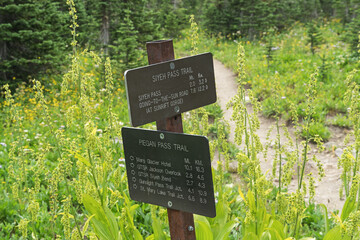 Siyeh and Piegan Pass Trail Signs In Glacier National Park