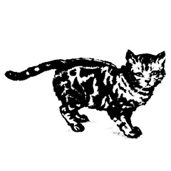 Little Kitten in Vintage Timeless Style