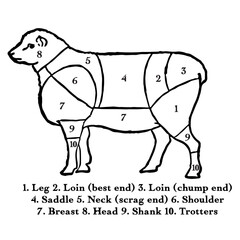 Lamb labeled with Main Cuts of Meat in Vintage Timeless Style