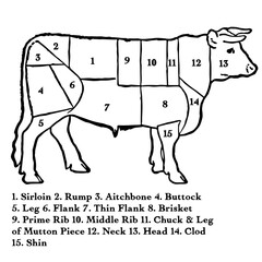 Cow labeled with Main Cuts of Meat in Vintage Timeless Style
