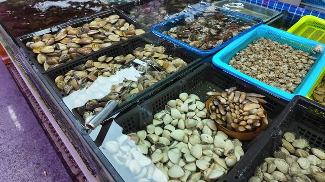Various shells and conches sold in the seafood market in Beihai, Guangxi