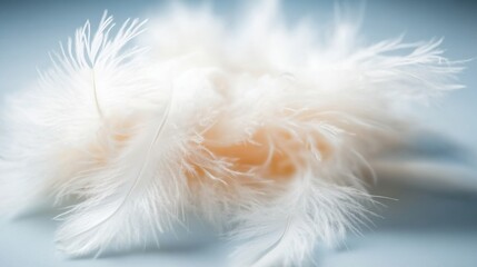 Obraz premium Delicate white feathers lie lightly arranged on a soft blue background, evoking a sense of tranquility and softness in the atmosphere