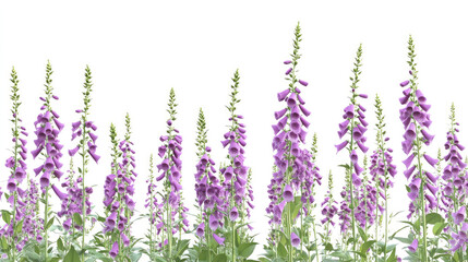 Naklejka premium Embracing Spring Nature's Flowers Blooming During Nowruz and Ostara Celebrations