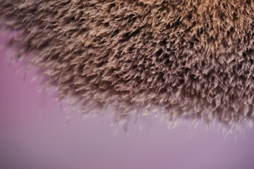 Macro texture of used blusher brush as background
