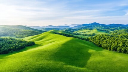 Obraz premium Meadow with Tree Line Forest Aerial view of a meadow bordered by a forest, rolling hills in the distance, expansive and scenic landscape