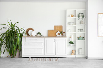 Interior of stylish kitchen with white counters, houseplant and shelving unit