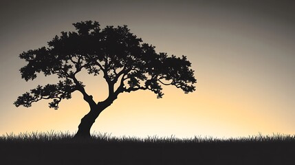 Obraz premium silhouette of a tree