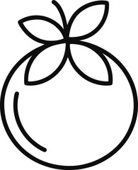 Abiu outline icon on white background.