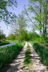 春の万水川遊歩道