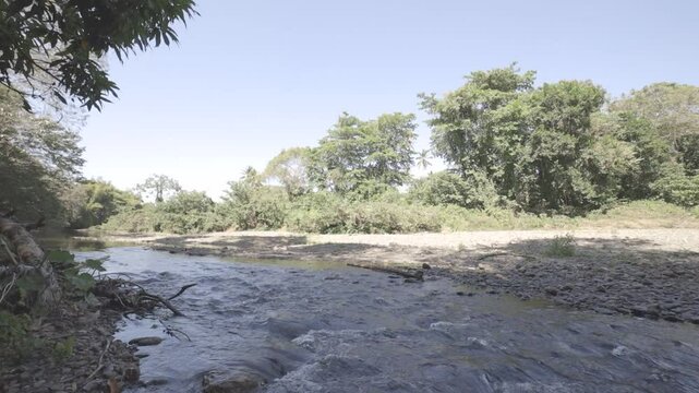landscapes of beautifull river, hd video, canon eos r c-log 8bits