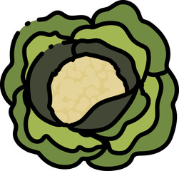Cauliflower line icon