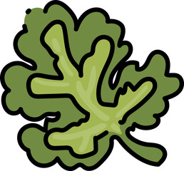 Kale line icon