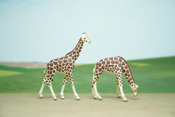 Mini toy of action figure at outdoor with blurred background. Toy photography concept design. Minifigure of giraffe character at grassland.