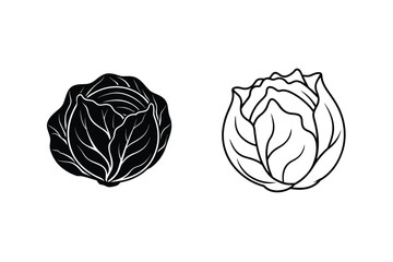 Cabbage Vegetable Illustrations Black Silhouette and Outline Drawings