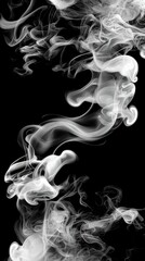 Fototapeta premium Abstract White Smoke on Black Background