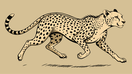 Vintage Cheetah Running – Black and White Sketch with Detailed Spots and Dynamic Pose in Wildlife Art Style