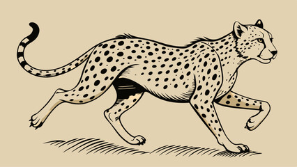 Vintage Cheetah Running – Black and White Sketch with Detailed Spots and Dynamic Pose in Wildlife Art Style