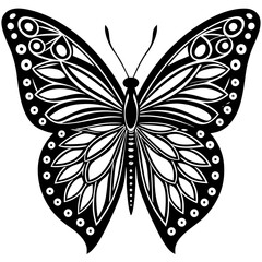 Intricate Black and White Butterfly Illustration Symmetrical Design with Detailed Wing Patterns and Geometric Elements