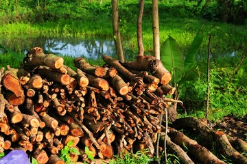 A neatly stacked pile of firewood in a rural setting, freshly cut and ready for use. The rich brown tones contrast with the lush green background, 