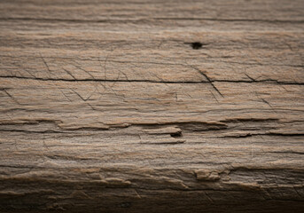 Obraz premium Close up of weathered wood grain with intricate patterns, showing rich texture and natural beauty.