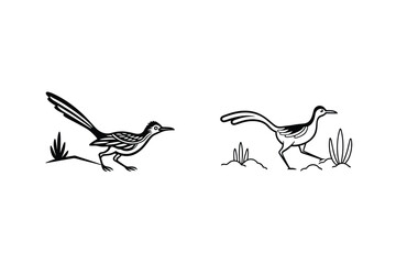 Greater Roadrunner Line Art, Southwestern Bird Illustrations, Desert Avian Pair