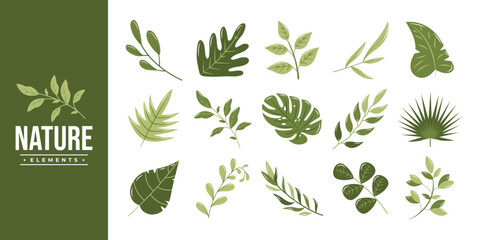 Nature Leaves