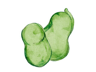 水彩で描いた春野菜のそら豆料理食材の水彩ベクターイラスト素材