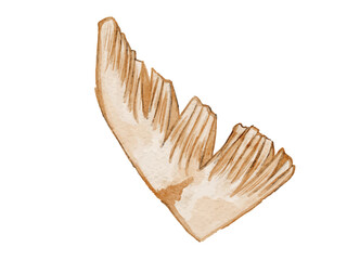 水彩で描いた春野菜のたけのこ料理食材の水彩ベクターイラスト素材