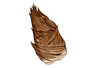 水彩で描いた春野菜のたけのこ料理食材の水彩ベクターイラスト素材