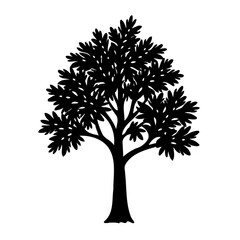 Obraz premium Solitary Tree Silhouette Against White Backdrop