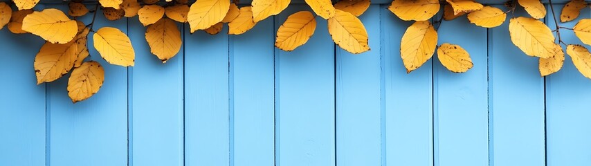 Obraz premium Yellow leaves resting upon a bright blue wooden surface