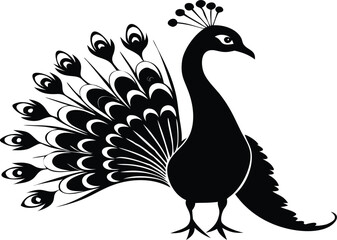 Fototapeta premium peacock icon vector silhouette eps